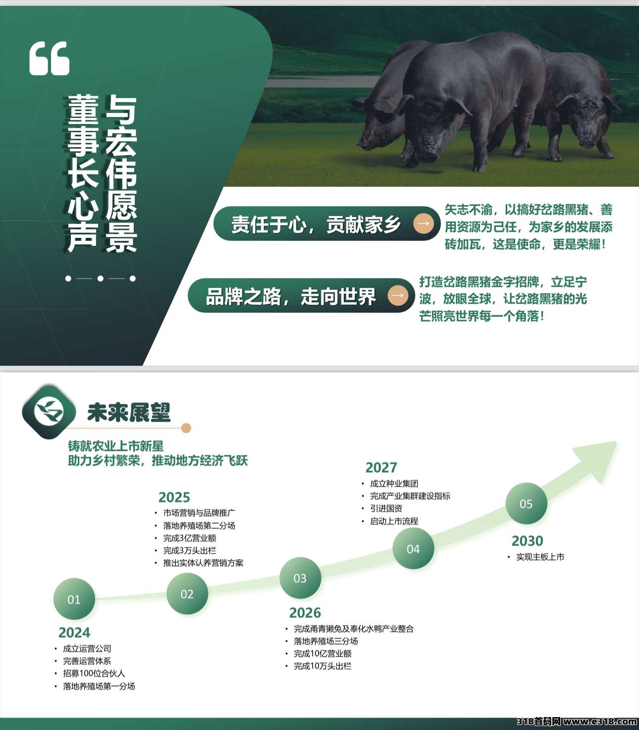 瑞运妖塔招募团长(15)