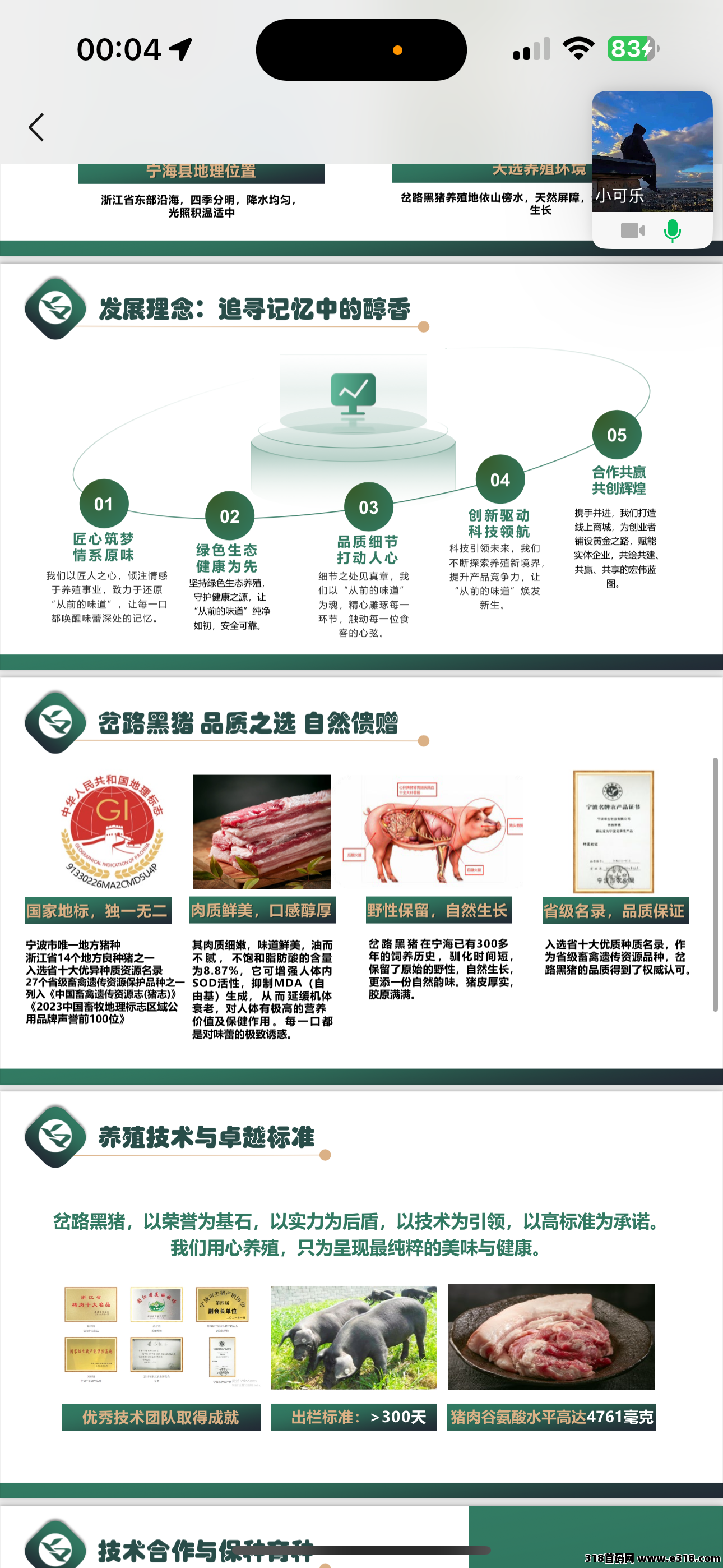 瑞运妖塔招募团长(13)