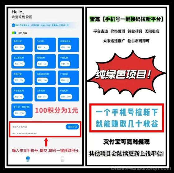 雷霆一键拉新：老年机项目，不实名不下载，日入60+，推广躺赚三年(2)