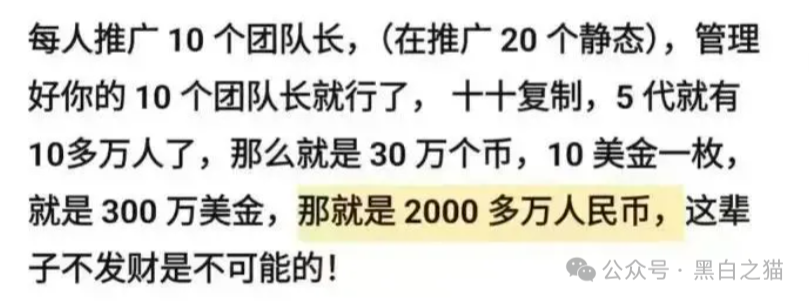 反诈防骗｜“天体交易所”传销教父的嗜血镰刀，韭菜的宿命币，一天歇菜......(4)