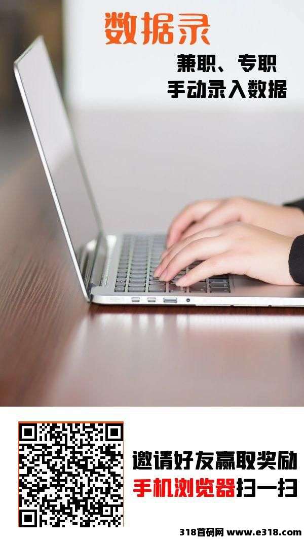 数据录首码，2025必做项目，打字轻松赚钱(3)