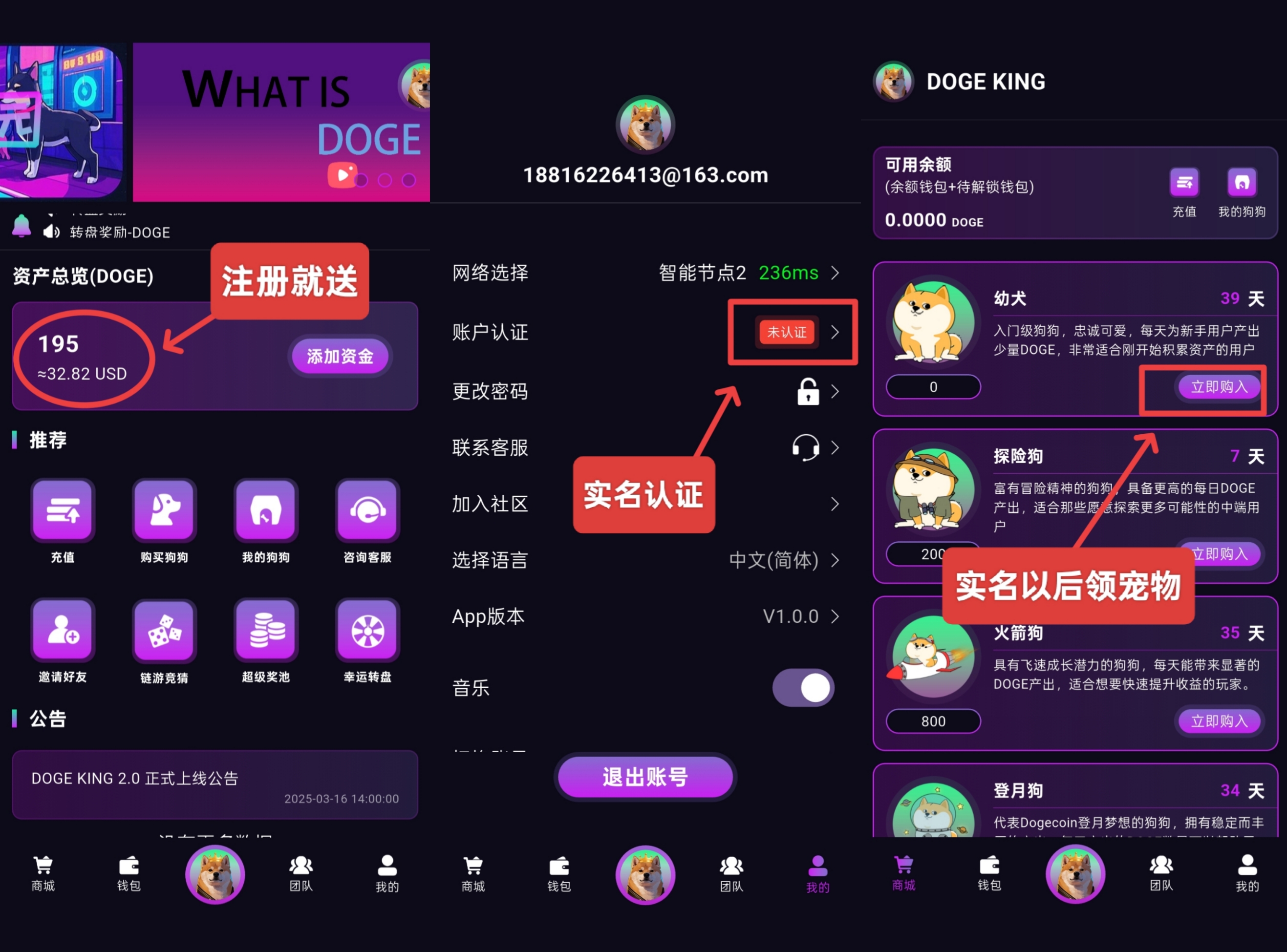 DOGE KING 2.0 盛大开启，等你来战！抓住机遇，坐享收益。(3)