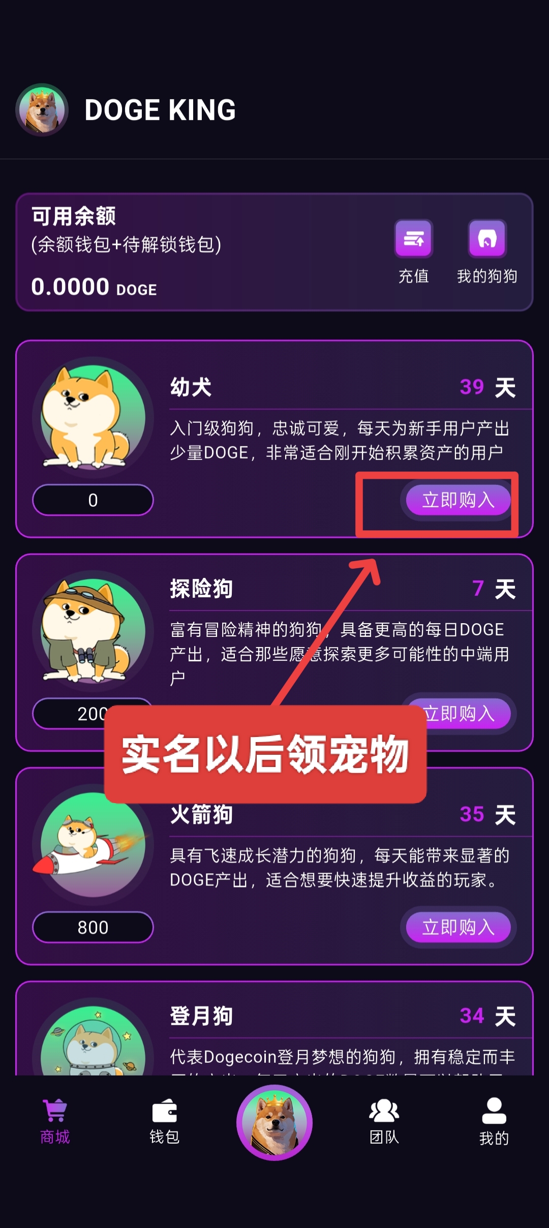 首码DogeKing：注册即送800枚狗狗币，抓住机遇，坐享收益。(2)