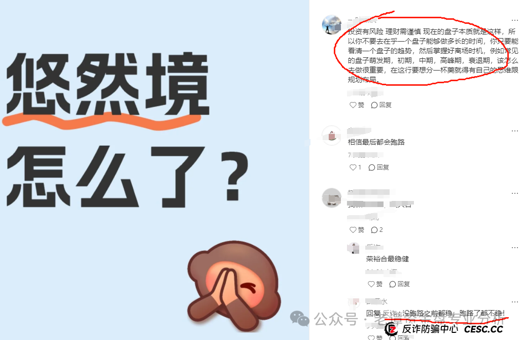 老谭深度解析：悠然境资金盘背后的套路与陷阱(4)