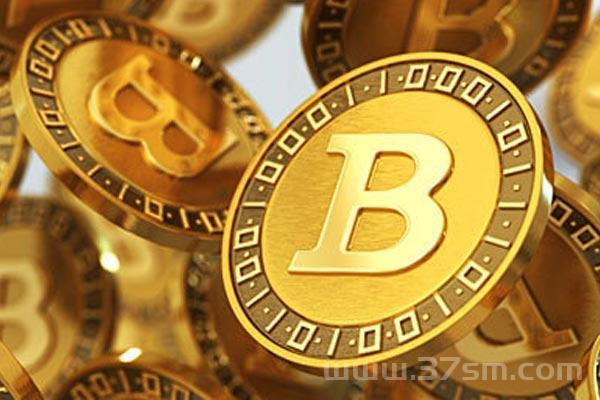 币圈小蝶：怎样抓住龙头股？