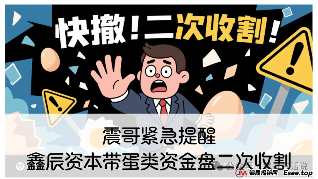 紧急提醒：鑫辰资本带蛋类资金盘二次收割，速避！(1)