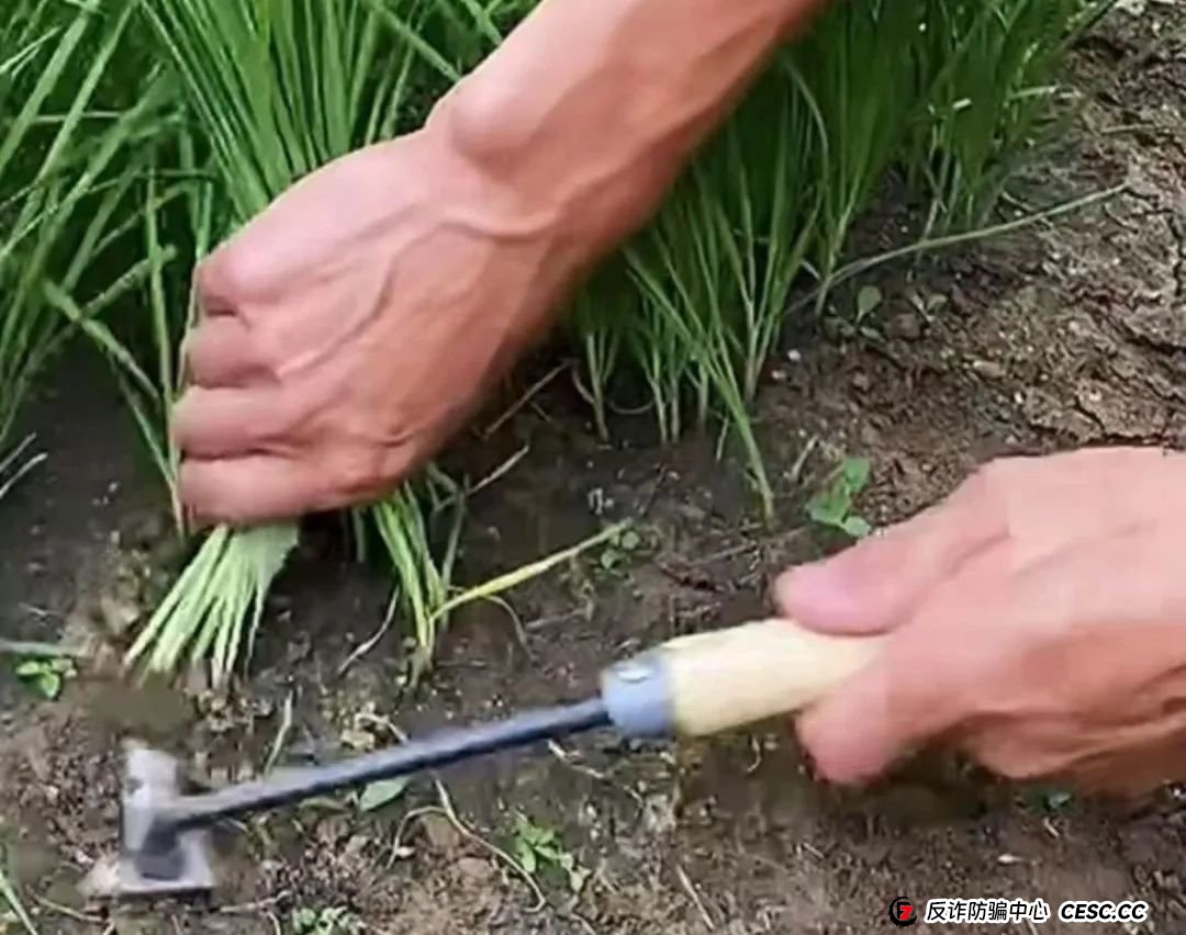 联合旅业涉嫌资金盘：文旅投资外衣下的传销陷阱，注意警惕。(2)