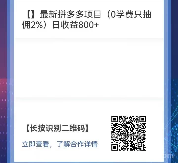 最新拼多多项目（0学费 只抽佣 2%）日 收益800+(3)