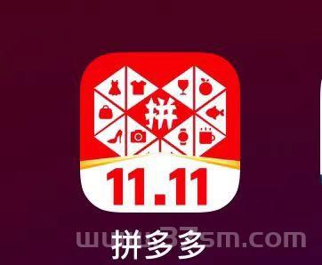 最新拼多多项目（0学费 只抽佣 2%）日 收益800+(1)