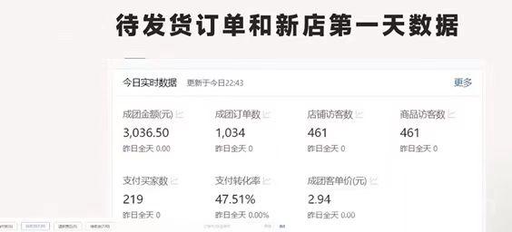 最新拼多多项目（0学费 只抽佣 2%）日 收益800+(2)