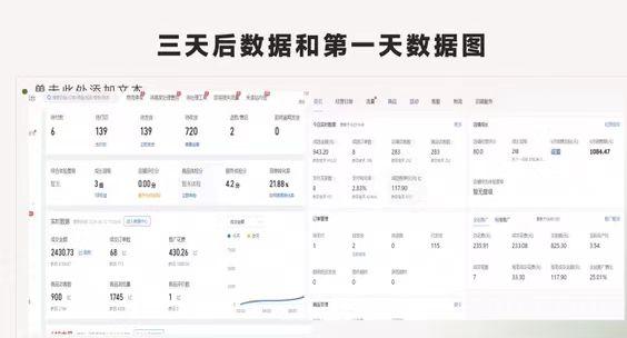 最新拼多多项目（0学费 只抽佣 2%）日 收益800+(4)