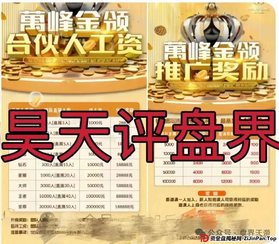 万峰金领资金盘内幕：天帝独家揭秘这个即将跑路的杀猪盘(2)
