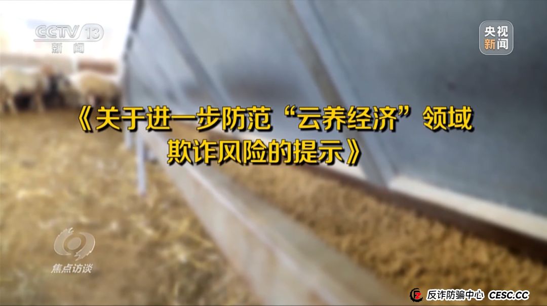 “云养殖”里藏骗局(7)