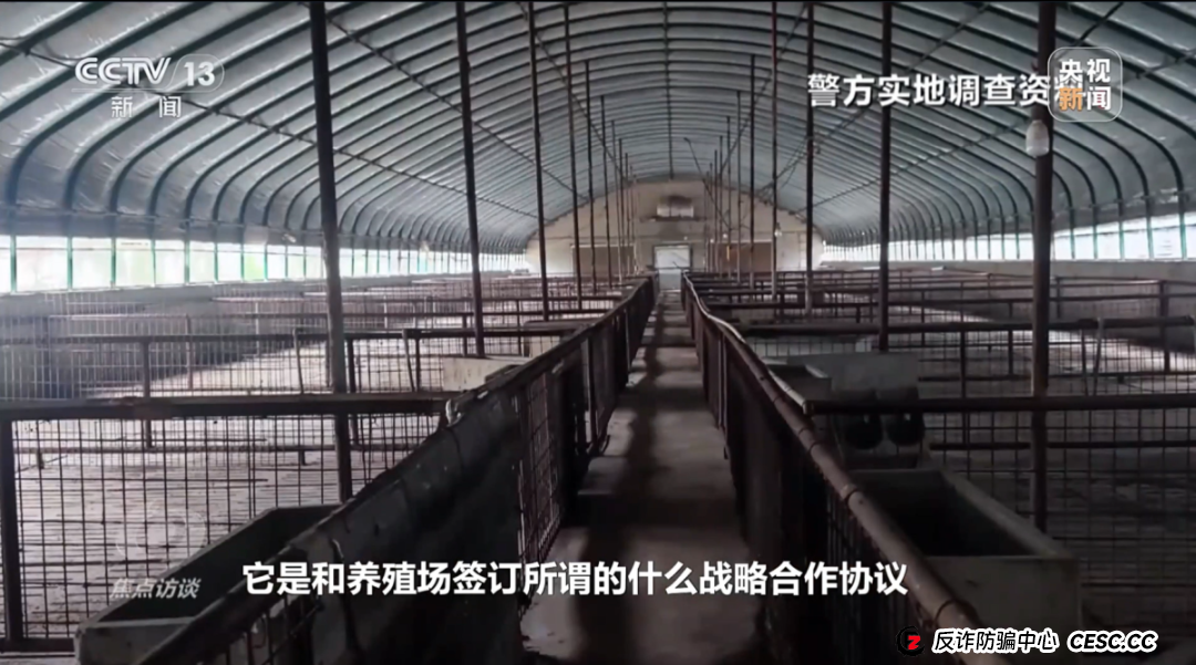 “云养殖”里藏骗局(6)