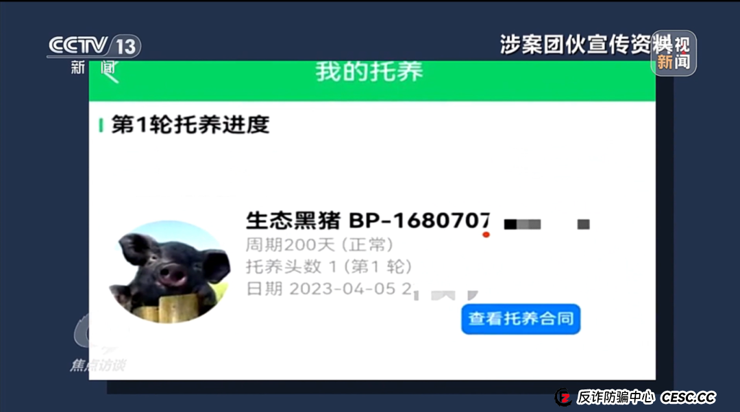 “云养殖”里藏骗局(2)