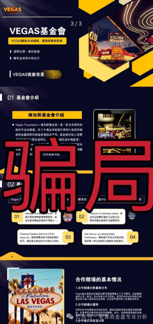 【曝光]维加斯基金会（VEGAS）高度预警，即将崩盘跑路！(4)