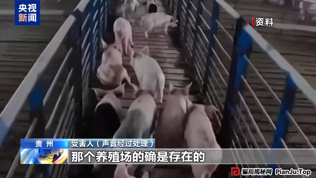 【金融普法】假养猪 真骗局 警惕披着“云养经济”外衣的非法集资(3)