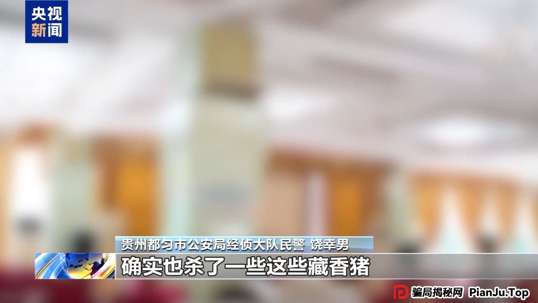 【金融普法】假养猪 真骗局 警惕披着“云养经济”外衣的非法集资(1)