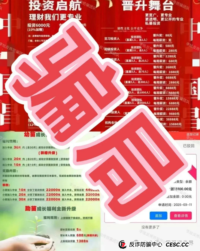 【中永国昌】庞氏骗局大起底！震哥紧急提醒：别当韭菜接盘侠！(5)