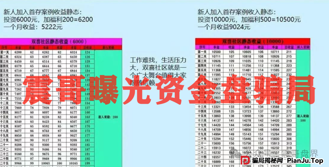 双喜社区彩票资金盘骗局！已经单割，即将崩盘跑路(8)