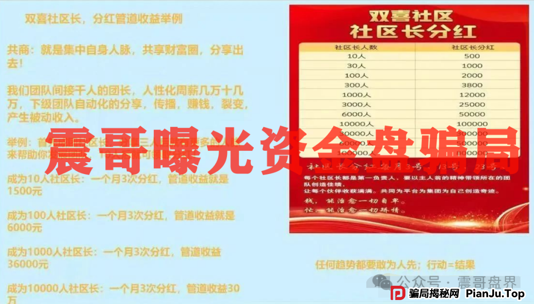 双喜社区彩票资金盘骗局！已经单割，即将崩盘跑路(9)