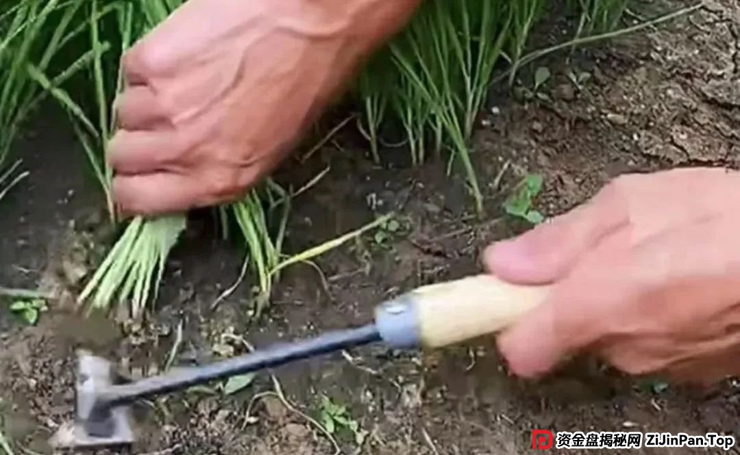 原田易购，表面是商城电商平台，实则是互助骗局警惕(1)