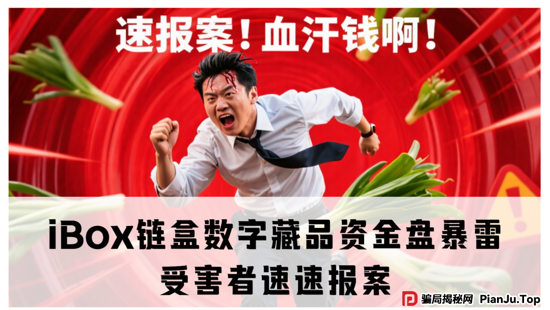 震哥独家起底：iBox链盒数字藏品资金盘暴雷！受害者速速报案，别让骗子逍遥法外！​