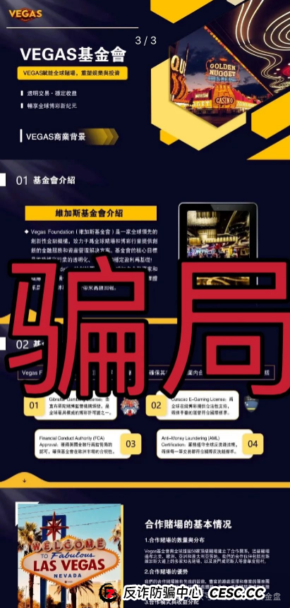 VEGAS基金会（维加斯）：震哥紧急预警，这波韭菜割得又快又狠！(4)