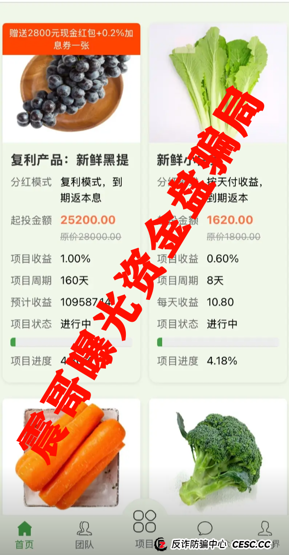 中百好物分红资金盘骗局，虚假包装盘，开始二次收割，高度预警！(2)