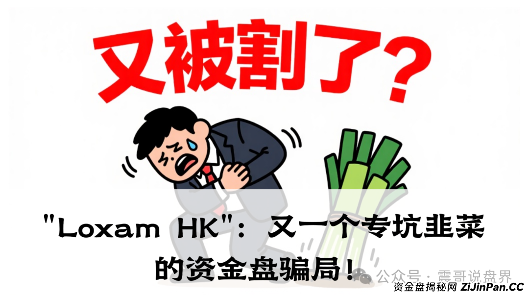 震哥带你扒皮＂Loxam HK＂：又一个专坑韭菜的资金盘骗局！