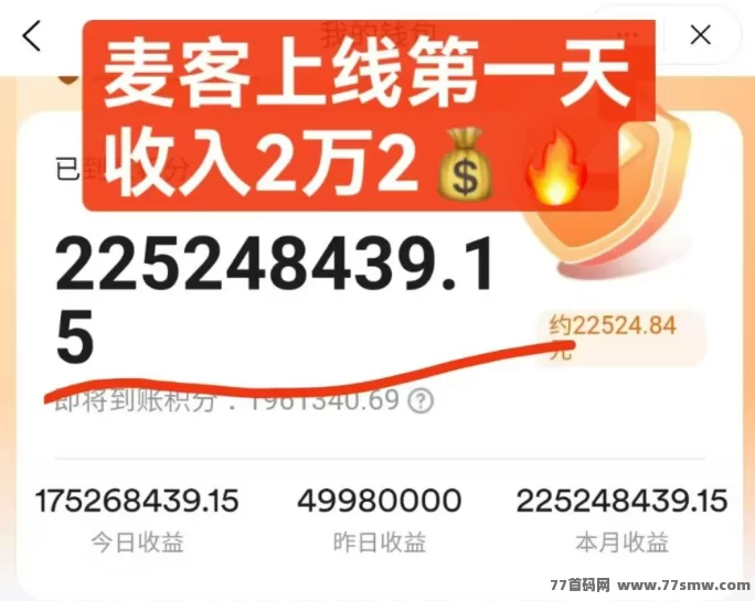麦客3.0公测上线，团队扶持全面，多版块收溢稳定，轻松实现月入过万！(2)