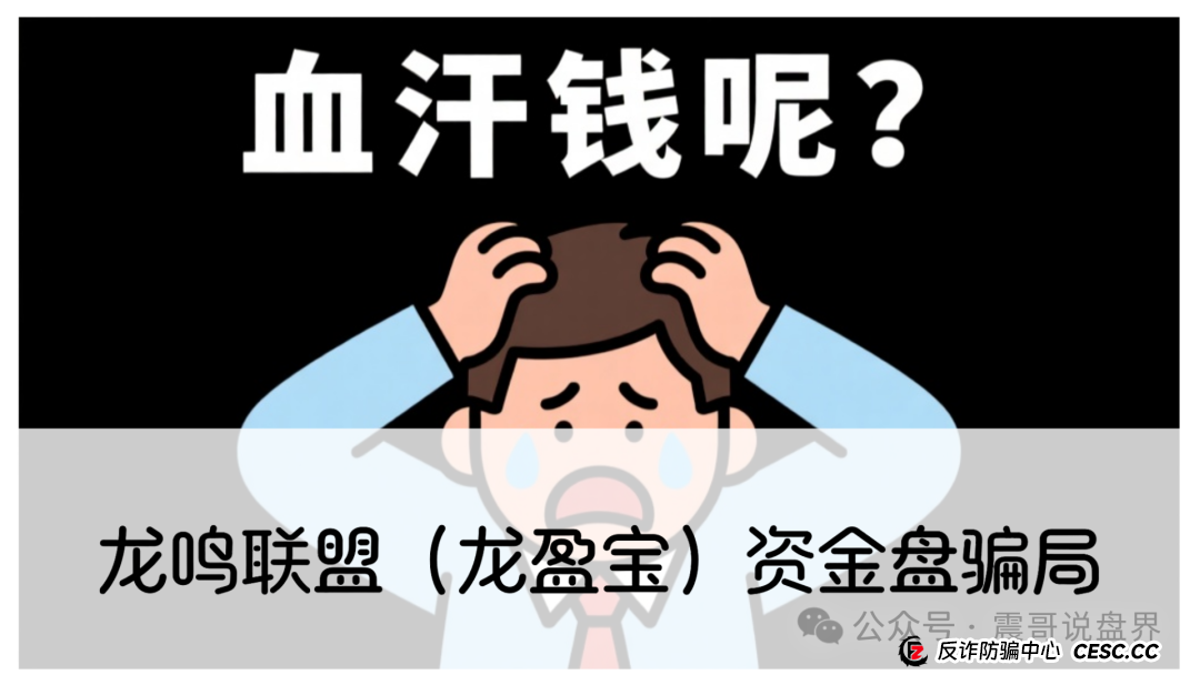 龙鸣联盟（龙盈宝）资金盘骗局，圈钱过亿，高度预警，别被收割(1)