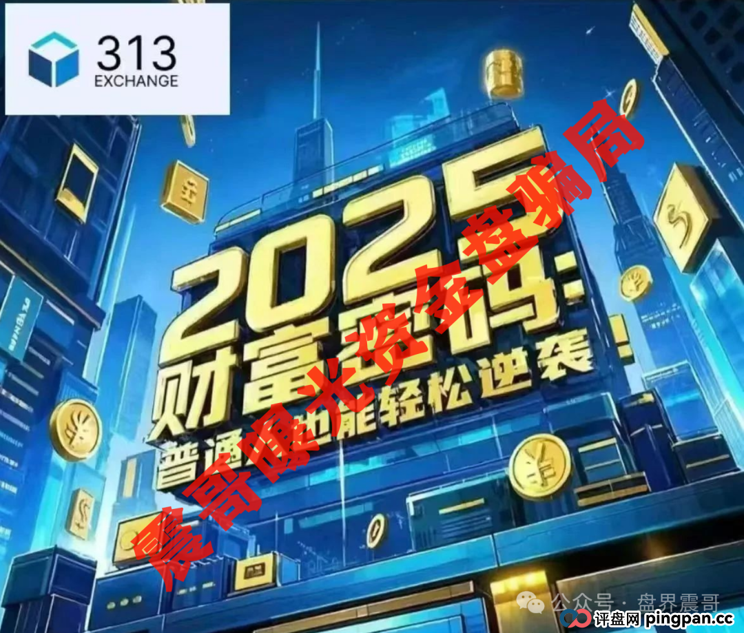 313交易所资金盘骗局，高度预警已到晚期，即将崩盘跑路(3)
