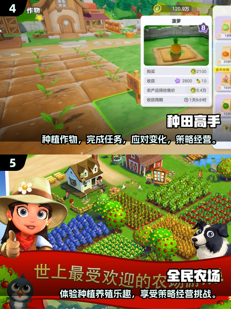 智慧农场游戏正规吗？经典种菜，永久1米提(4)