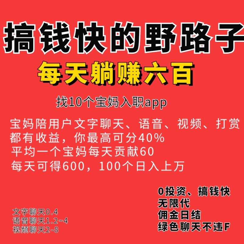 首码星探最新躺赚项目直开高级别把握先机(3)