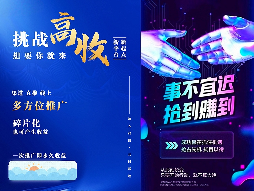 首码星探最新躺赚项目直开高级别把握先机(2)
