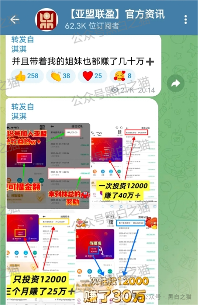 反诈防骗｜树拍偏瘫，尚能饭否？“亚盟联盈”在柬埔寨已悄然撤退，参与者能熬过夏季吗？(9)