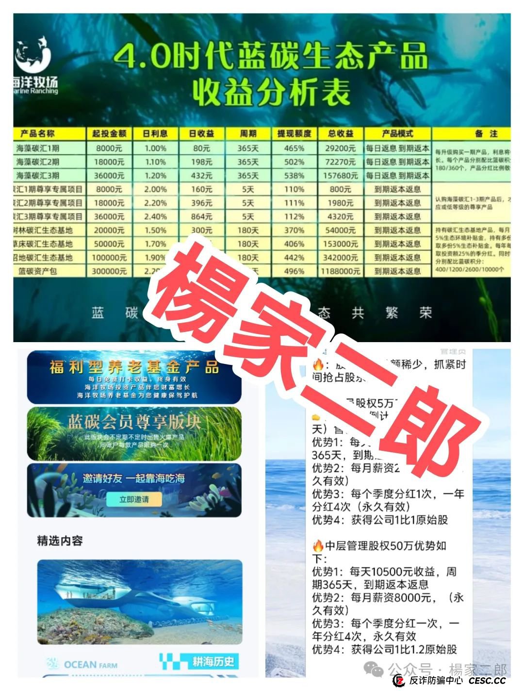 深度揭秘:“海洋牧场app”套用国家政策的理财资金盘骗局！(1)