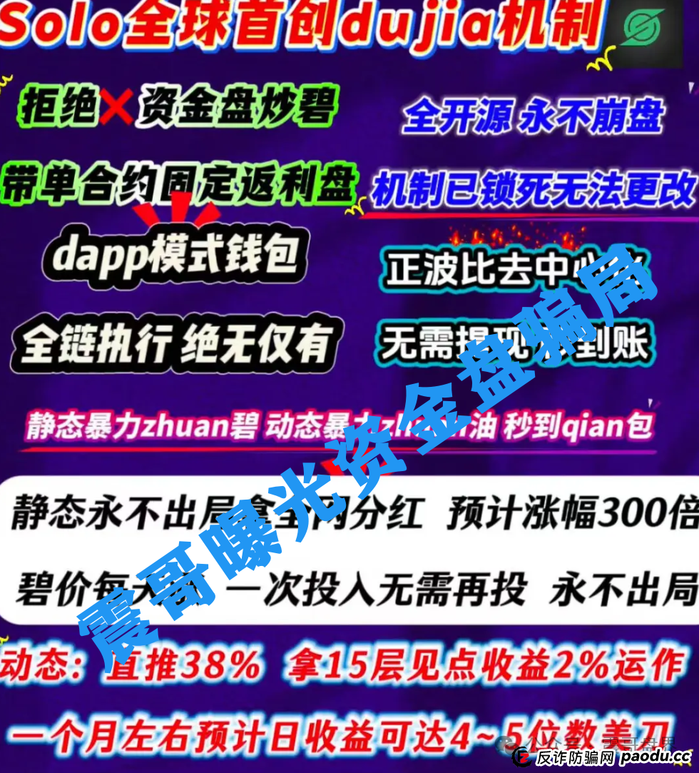 扒皮【SOLO】：这破项目连代币都搜不到，你还敢往里冲？(2)