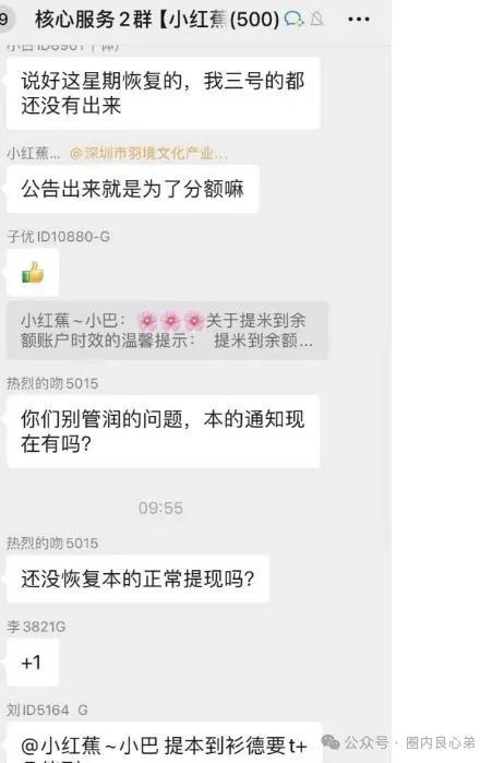 悠然境-巴蕉派小红蕉，互助竞拍骗局，多数投资者反应，提现不到账(12)