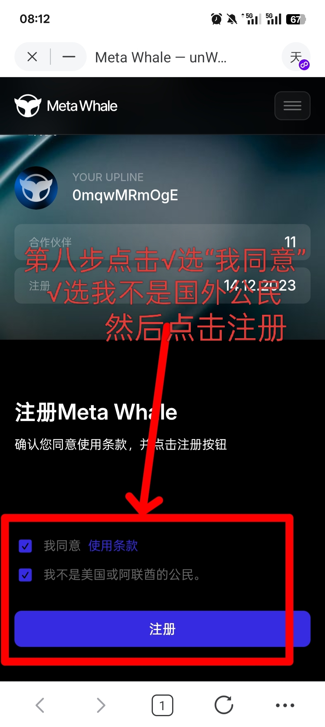 MetaWhale元鲸鱼注册TP钱包DAI质押全球一条线公排自动滑落矩阵收益(9)