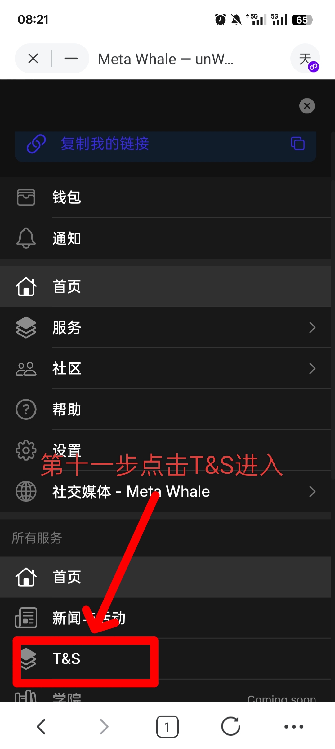 MetaWhale元鲸鱼注册TP钱包DAI质押全球一条线公排自动滑落矩阵收益(12)
