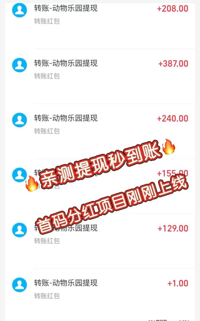 动物乐园分红版首码！扶持力度比较好(5)