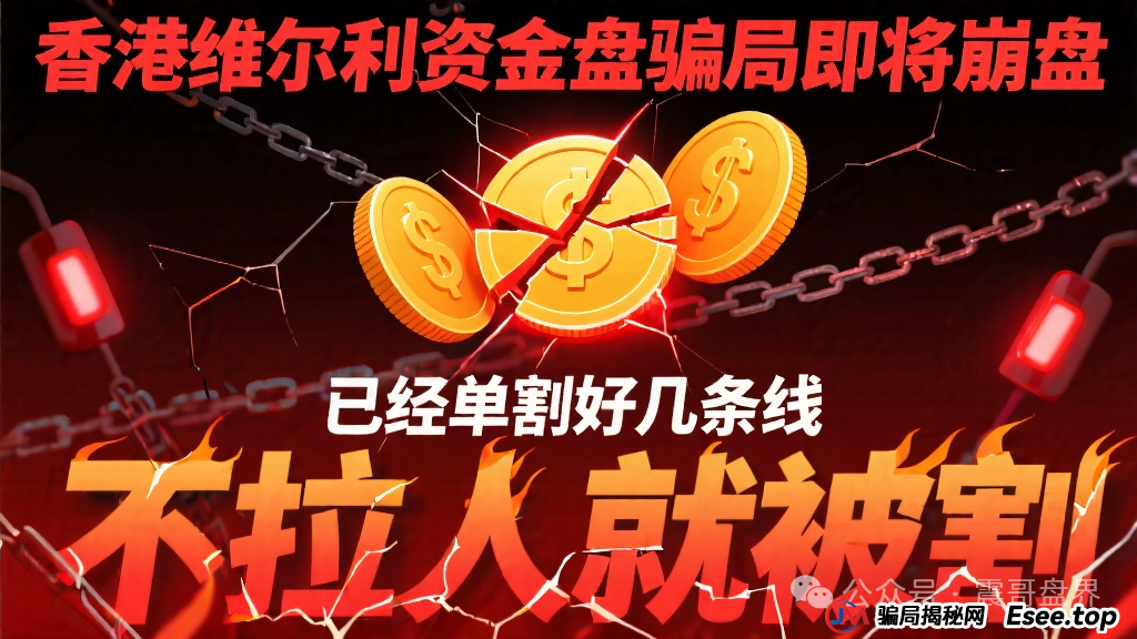 香港维尔利资金盘骗局即将崩盘，已经单割好几条线，不拉人就被割