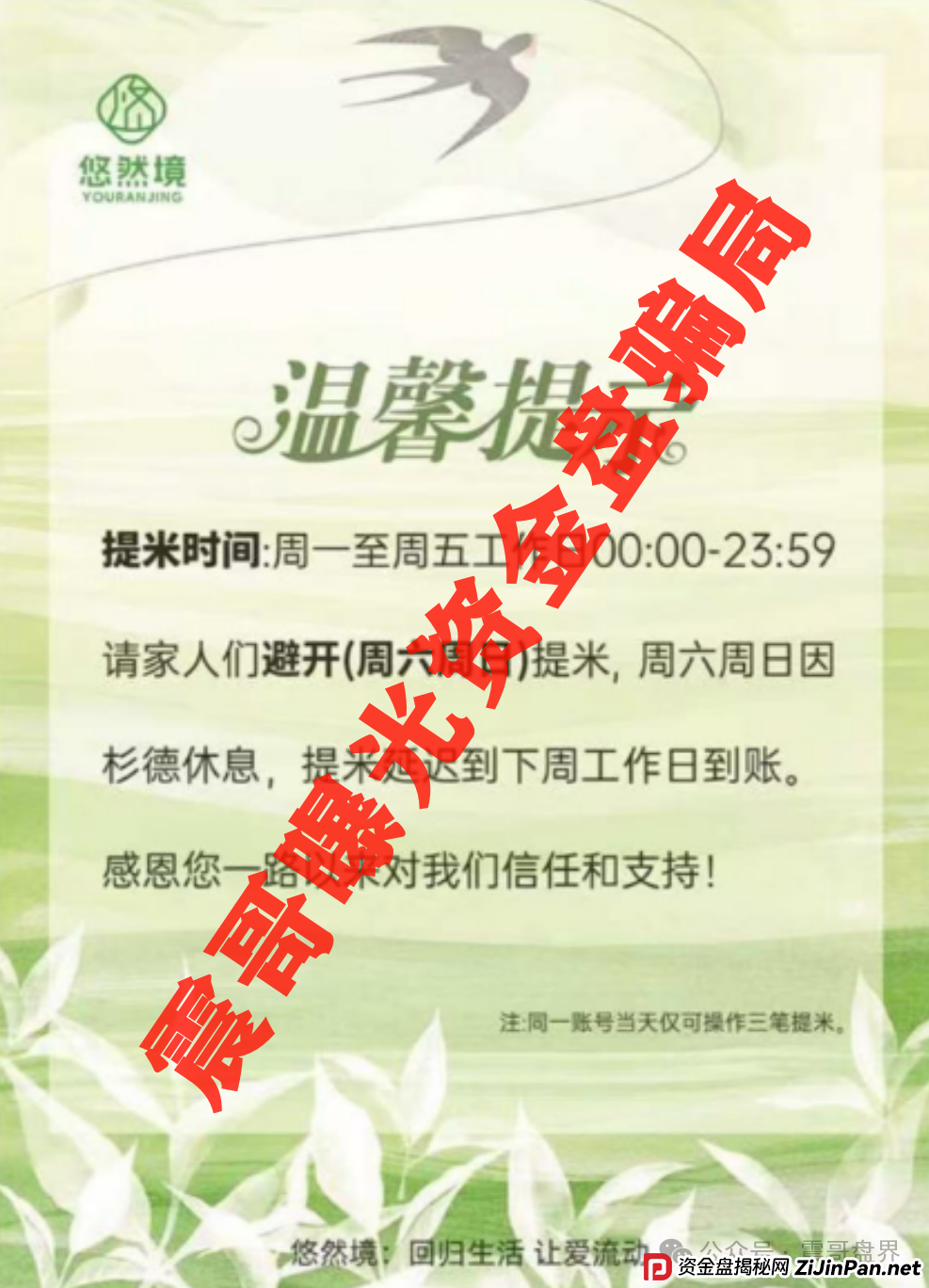 【悠然境暴雷预警】震哥曝提现异常！盘子要翻车？(3)