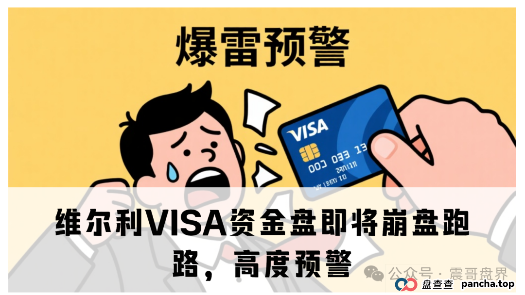 维尔利VISA资金盘即将崩盘跑路，高度预警(1)
