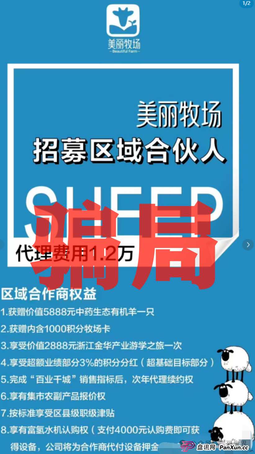 羊霸天美丽牧场：震哥带你扒一扒这个“云养羊”的坑！(2)