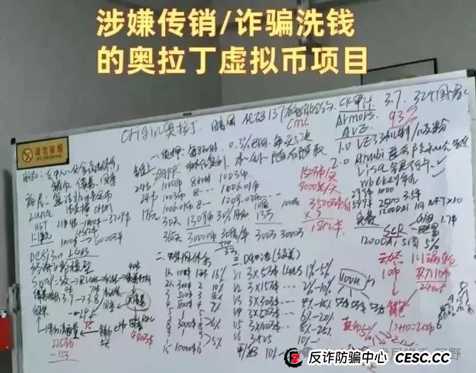 85%跌幅+客服蒸发！奥拉丁从“币圈新星”变“收割镰刀”，投资者血本无归(1)