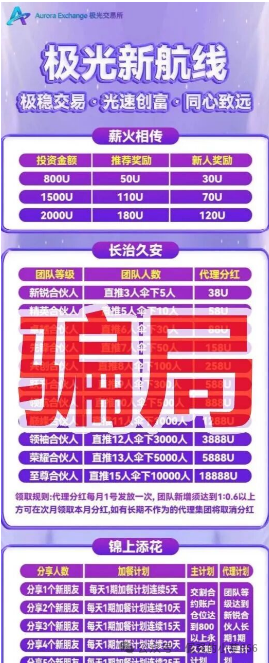 起底极光交易所与华能优选：一个AI造神，一个借名央企，两场精心策划的收割游戏(2)