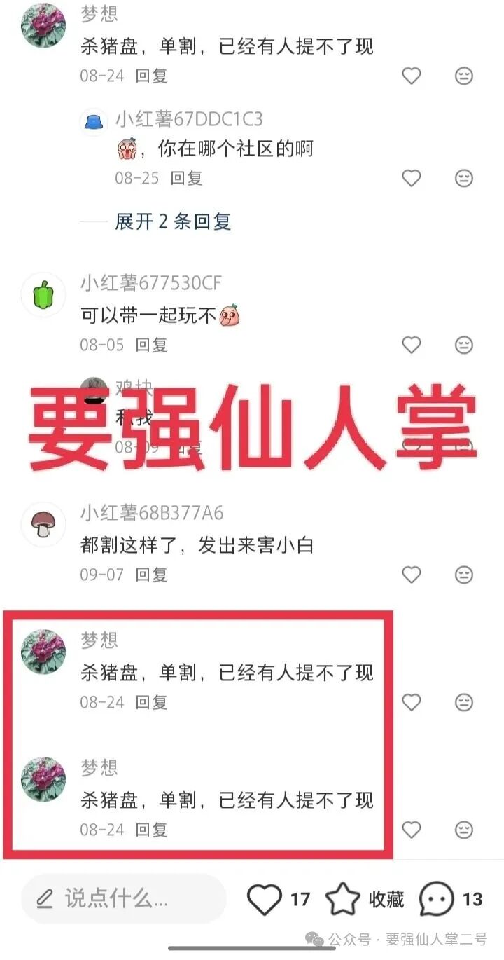 紧急曝光：“睿盛环球Golden Link”连环骗局始末，政府三级预警下的收割狂欢！(6)
